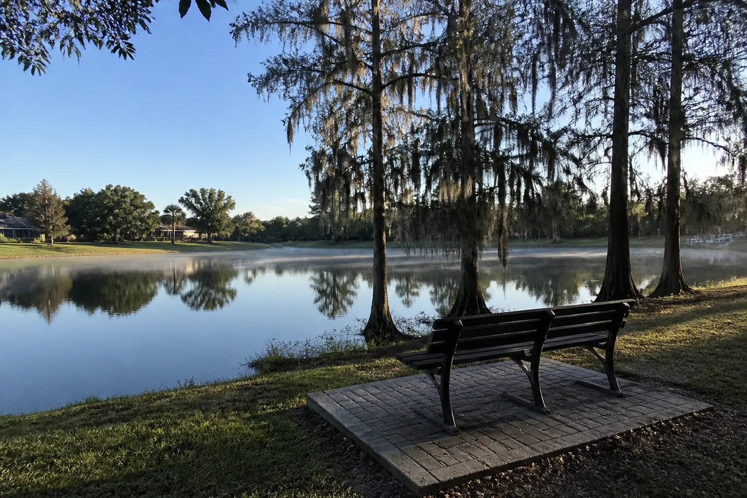 Carrollwood Village lake and cypress in Tampa Florida