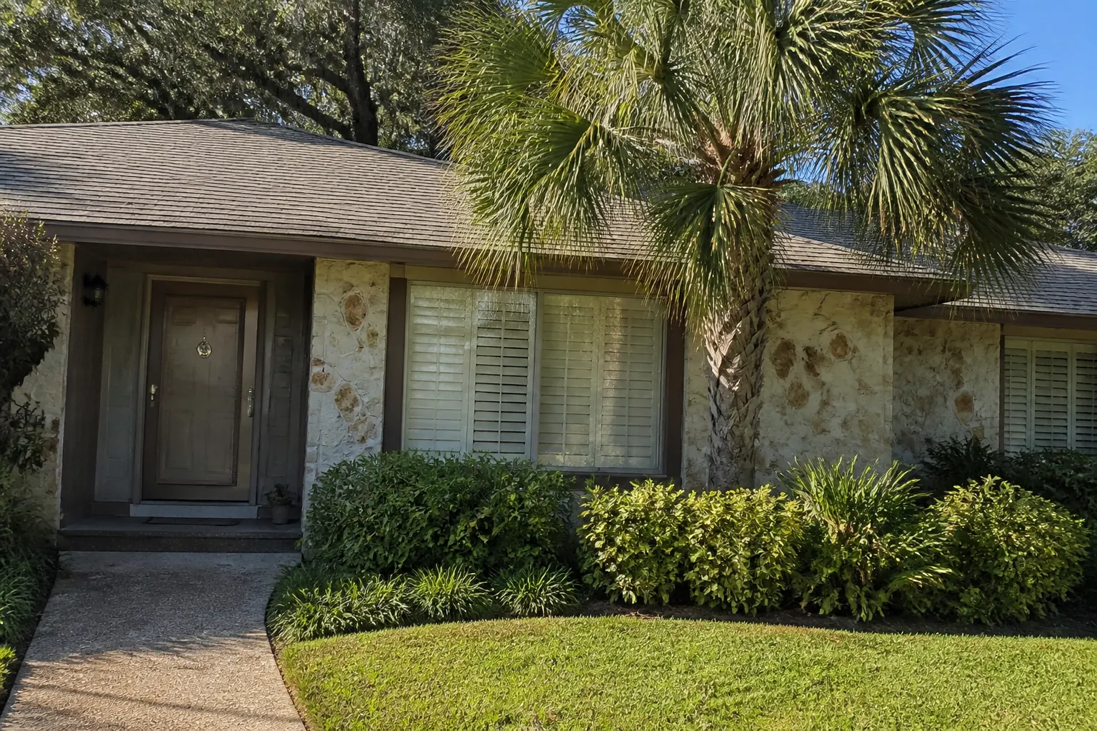 Carrollwood Tampa ranch house with a sabal palm