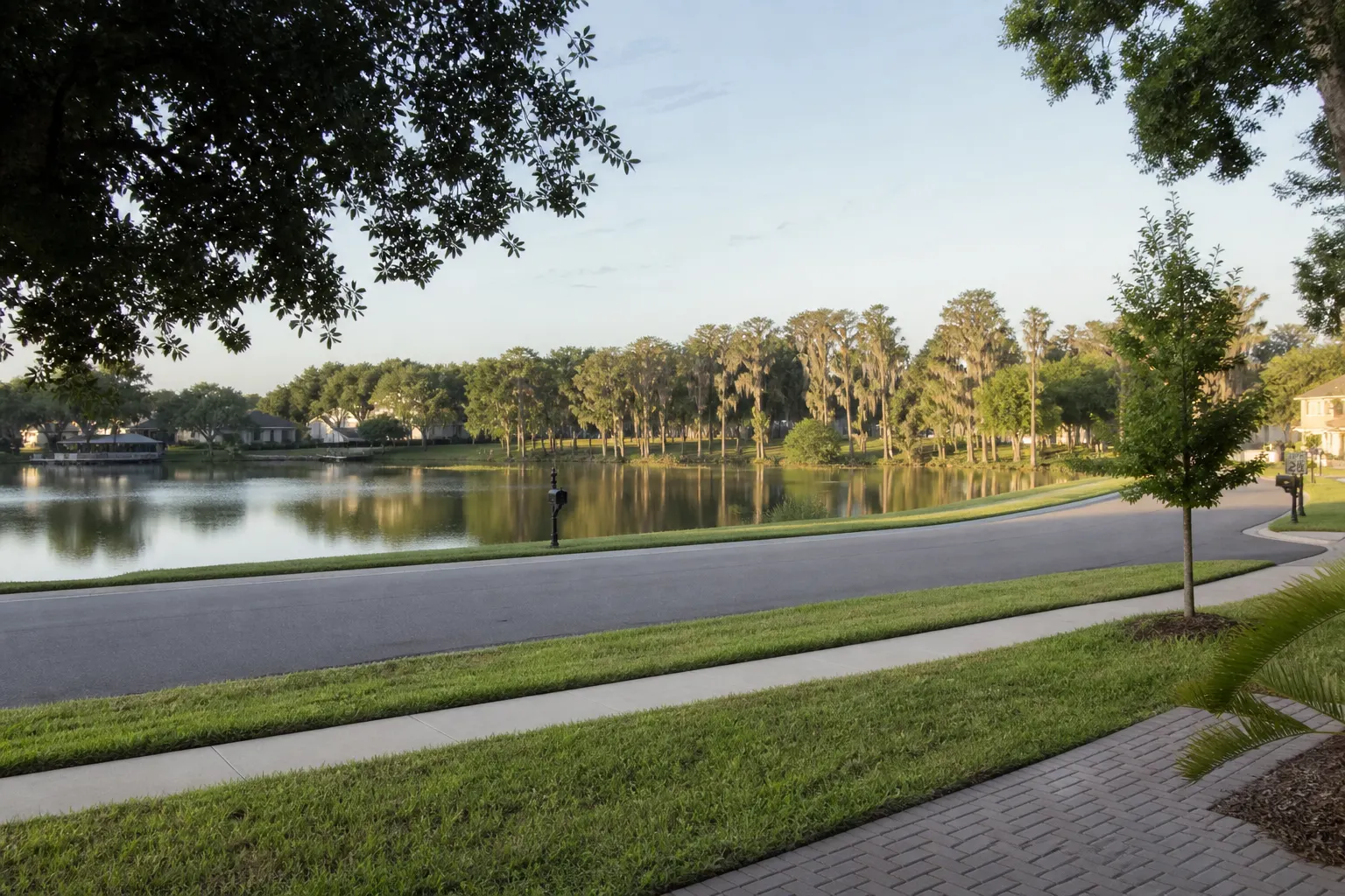 Quiet lake in Lutz Florida with cypress and live oaks