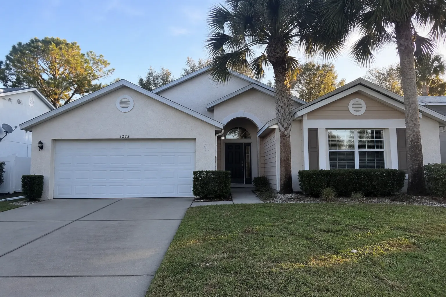 Lutz Florida ranch house with sabal palms