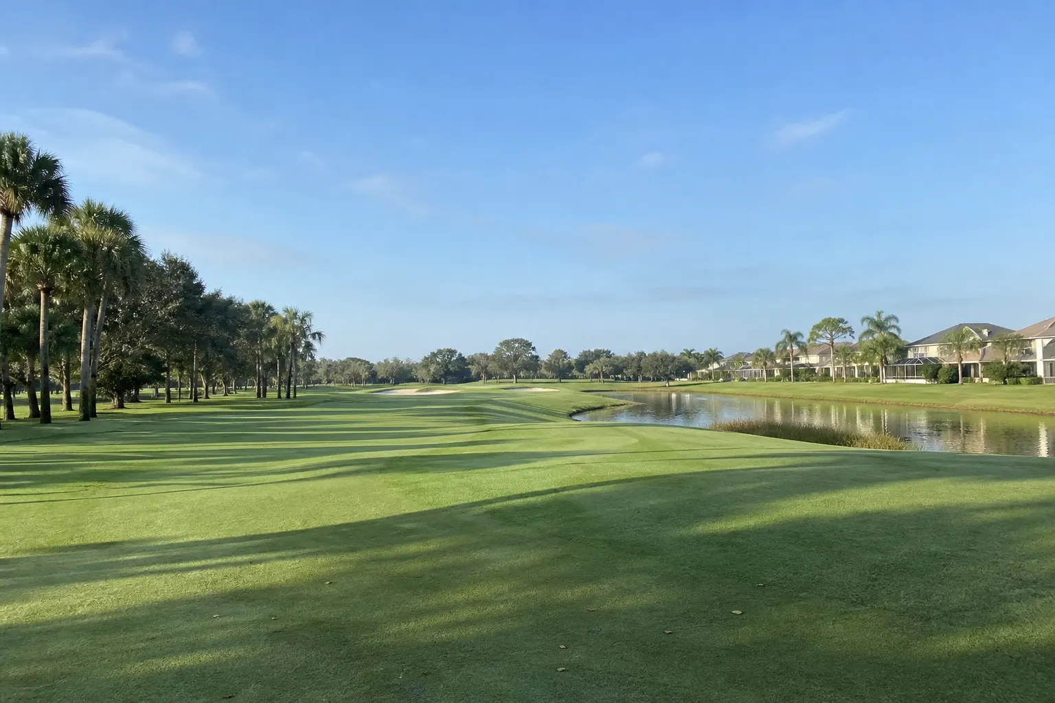 Tampa Palms golf fairway and palms, empty morning