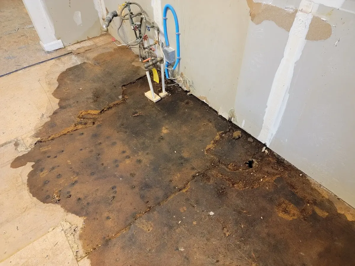 Hidden slab leak under a Tampa home foundation