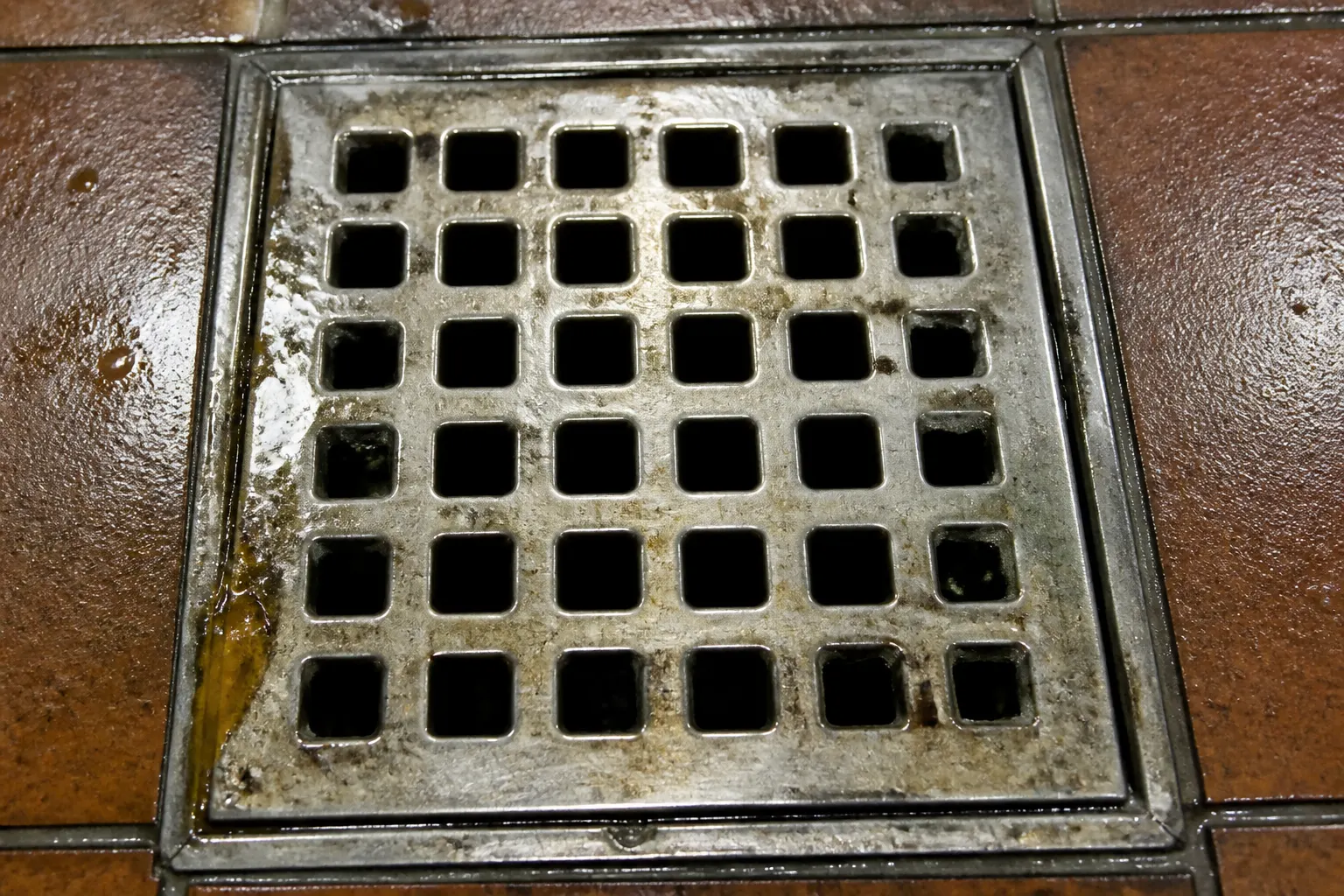 Restaurant kitchen floor drain with grease and standing water in Tampa