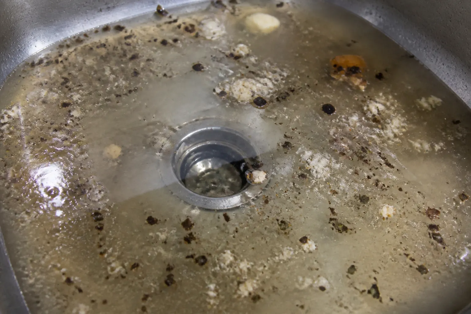 Tampa kitchen sink standing full of greasy water, a common drain cleaning call