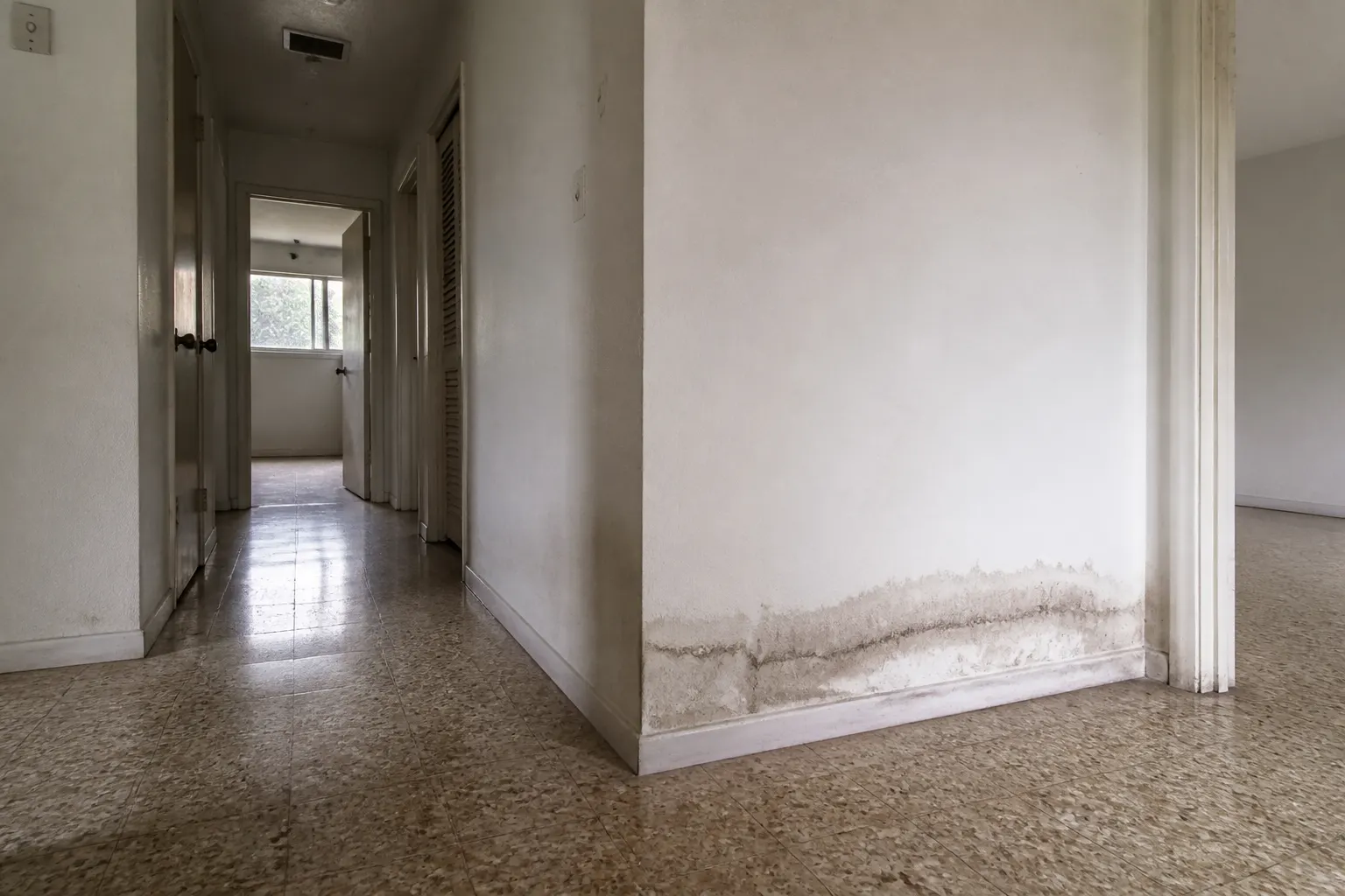 Moisture stain at a baseboard, a common slab-leak sign in South Tampa ranches